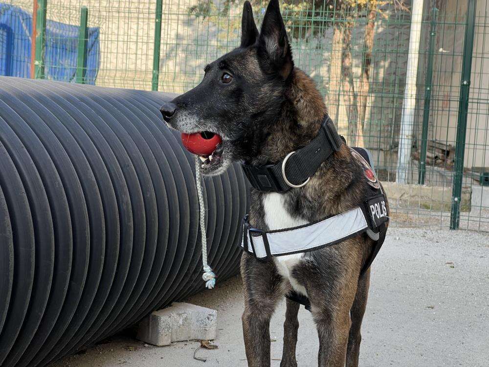 Konya’daki hassas burunların oyunu zehir tacirlerini yakıyor 5
